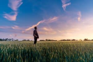 Le bail rural : conditions et modalités