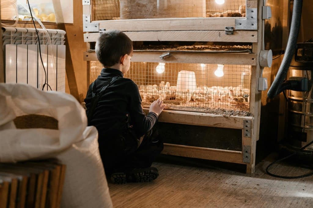 Ouvrir une ferme pédagogique : toutes les étapes