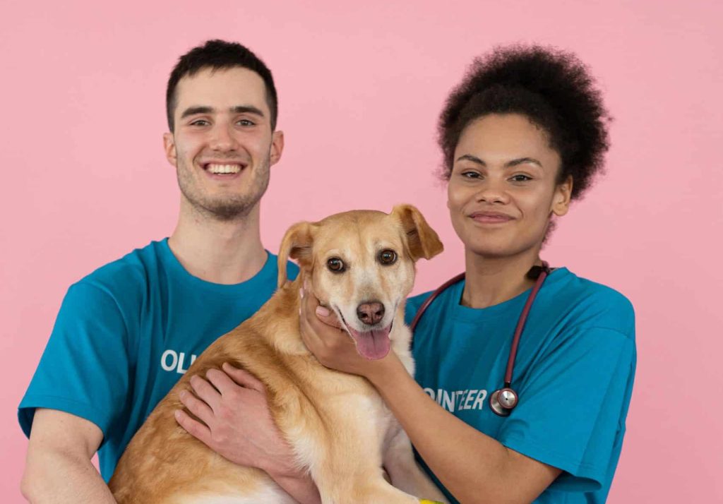 Comment créer une association pour animaux : ouvrir un refuge en 10 étapes